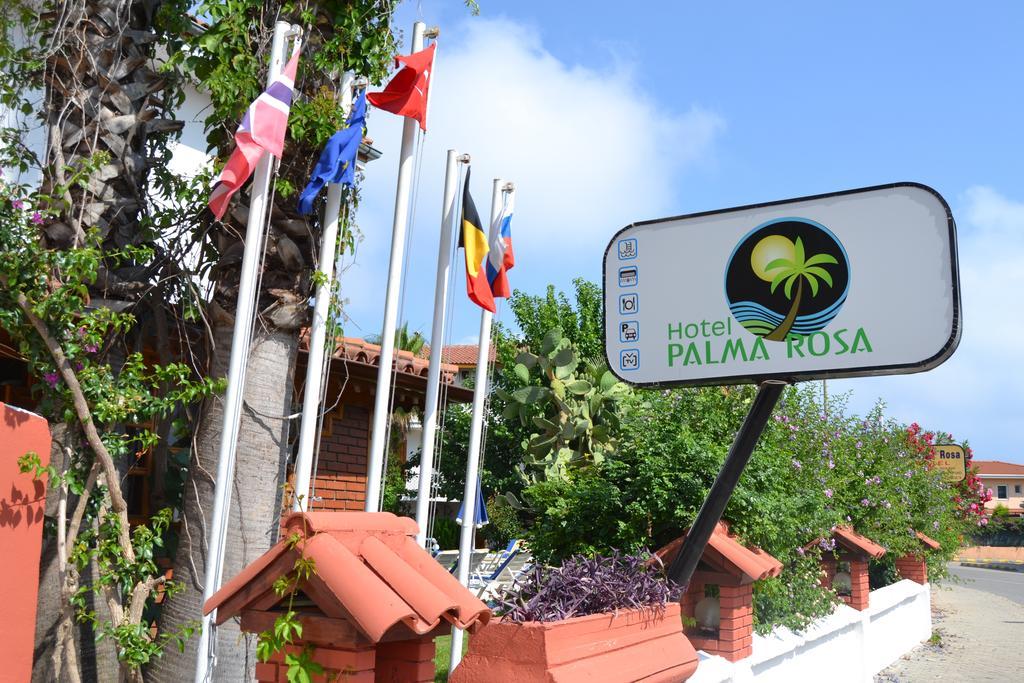Palma Rosa Çamyuva