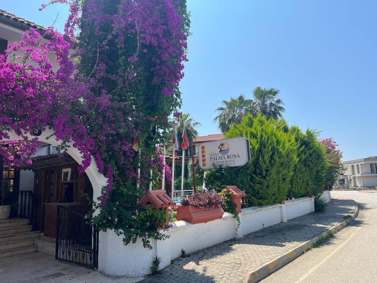 Bed & Breakfast Palma Rosa Çamyuva