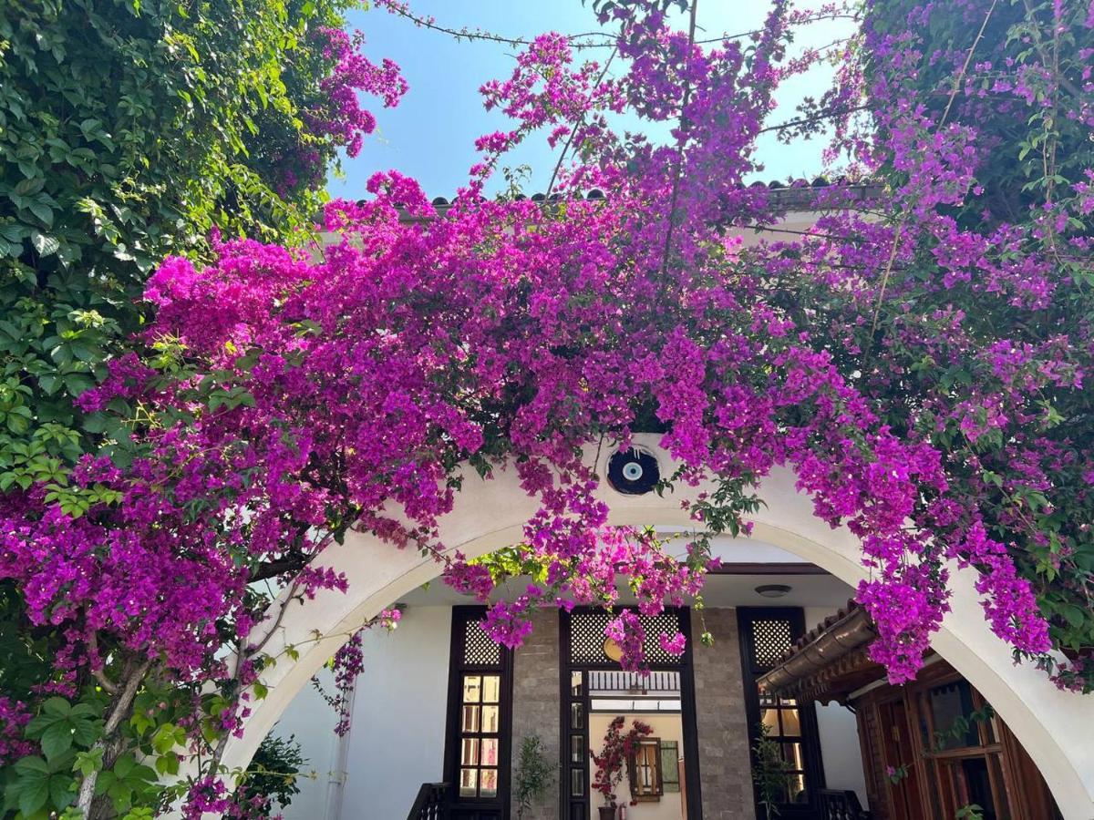 Bed & Breakfast Palma Rosa Çamyuva