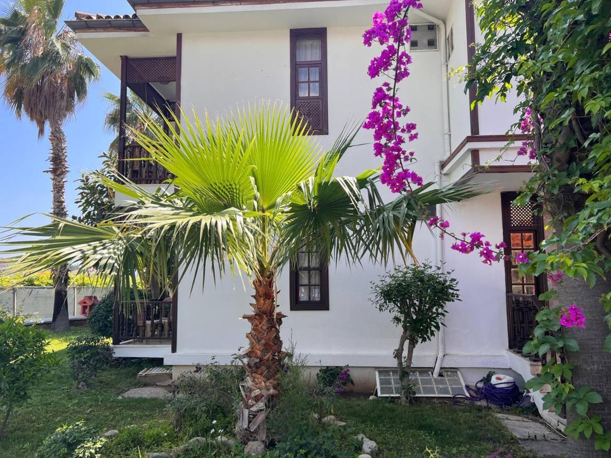 Palma Rosa 3* Camyuva