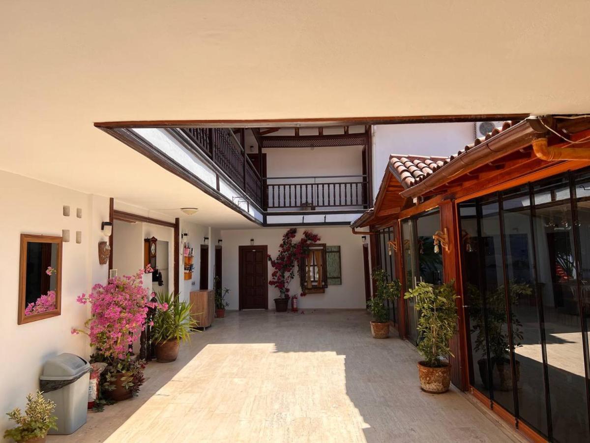 Palma Rosa Camyuva