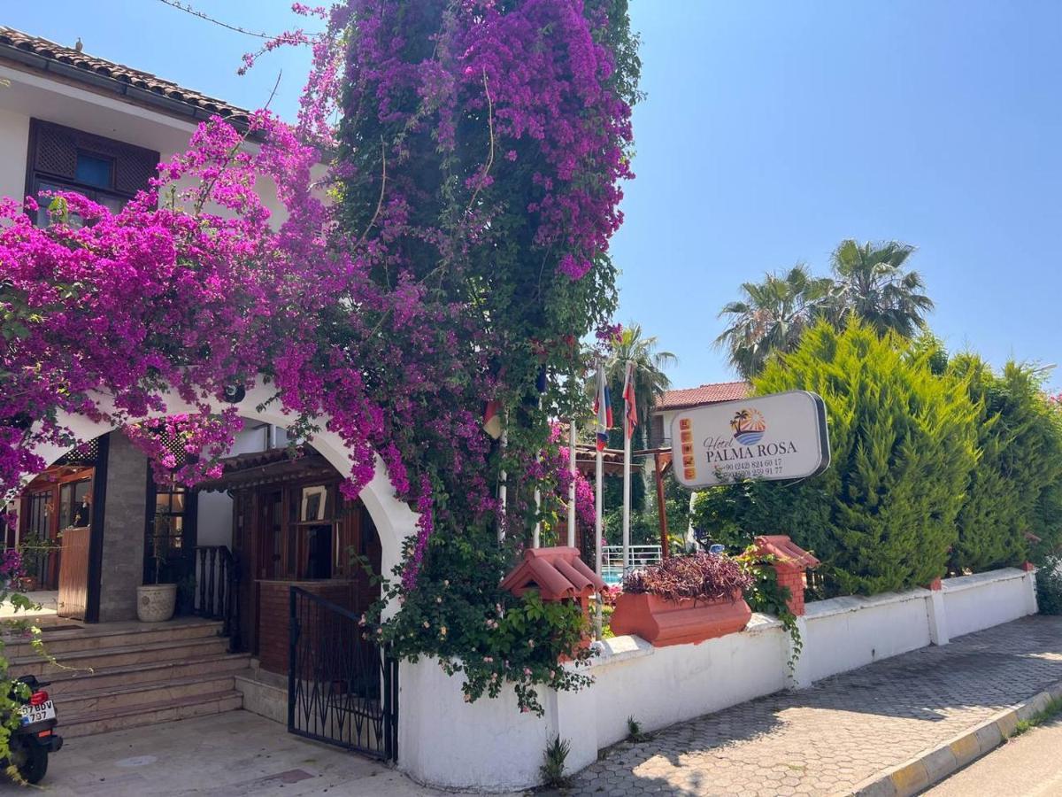 Palma Rosa Отель типа 